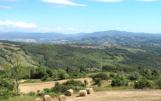 Bellavista - Photo 41