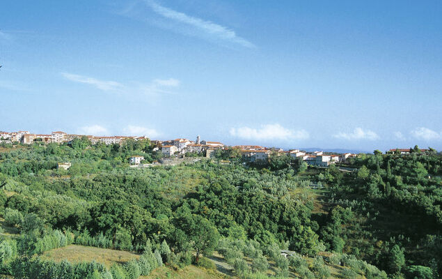 Bellavista - Photo 42