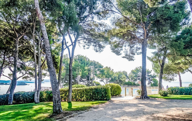 Athéna Résidence - Photo 14