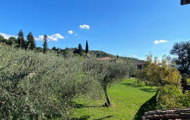 Villa Grassina - Photo 28