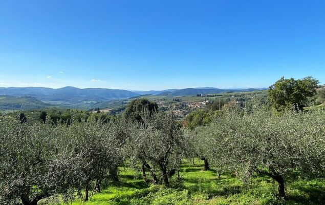 Villa Grassina - Photo 42