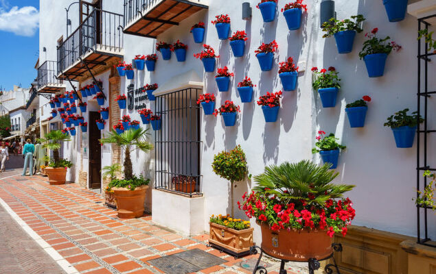 Los Almendros 2 - Photo 32