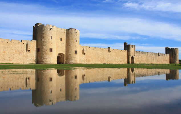 Les Lauriers - Photo 27