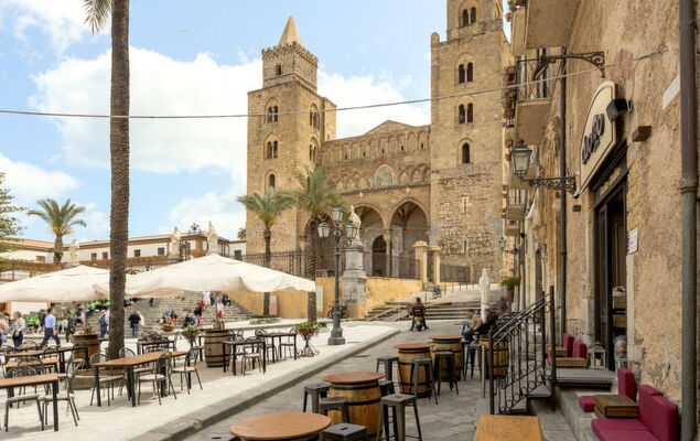 Jancaliva - Photo 30